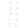 A310_guide